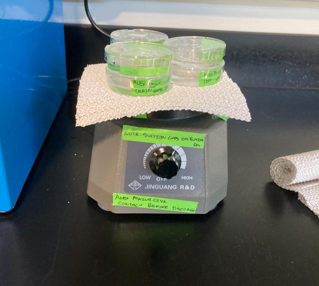 Vibration table with petri dishes on top